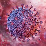 The Epstein-Barr Virus May Cause Lupus