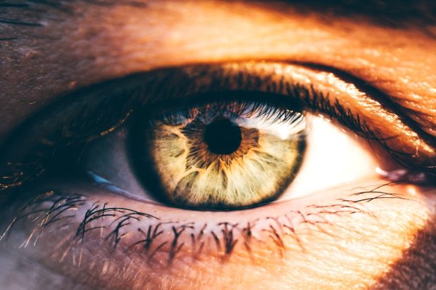 The Eye’s Maximum Resolution Is Even Higher Than We Thought : ScienceAlert