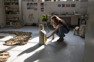 The Maria Manetti Shrem Art Studio MFA Program