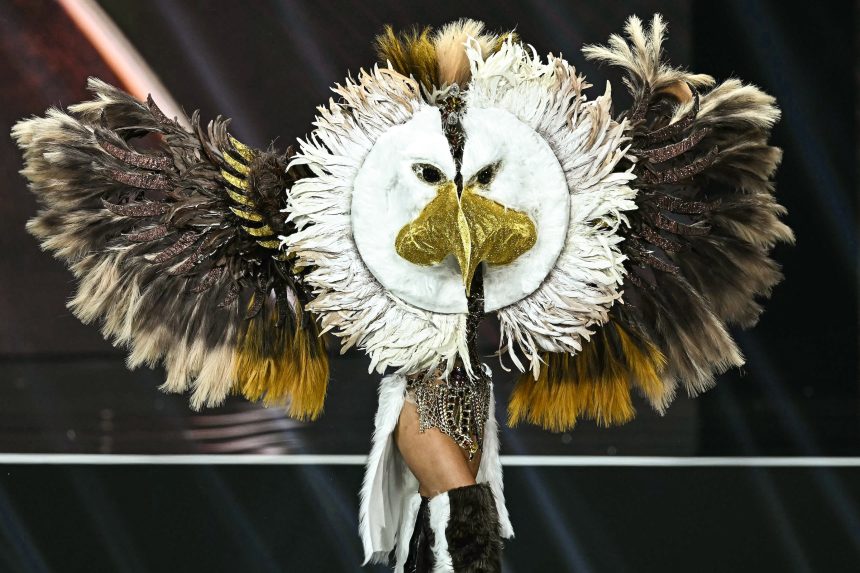 The Most Jaw-Dropping Costumes of the Miss Universe Competition 
