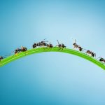 The Wonder of the Emergent Mind (with Gaurav Suri)