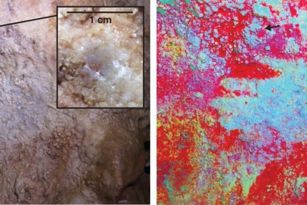 The World’s Oldest Known Cave Art Wasn’t Made by Our Species : ScienceAlert