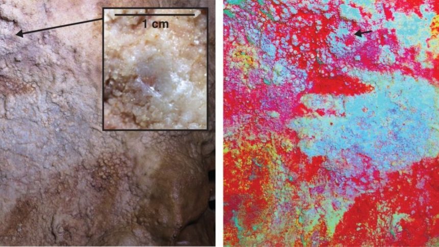 The World’s Oldest Known Cave Art Wasn’t Made by Our Species : ScienceAlert