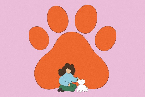 The climate paradox of having a dog