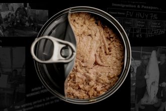 The dark truth behind supermarket tuna