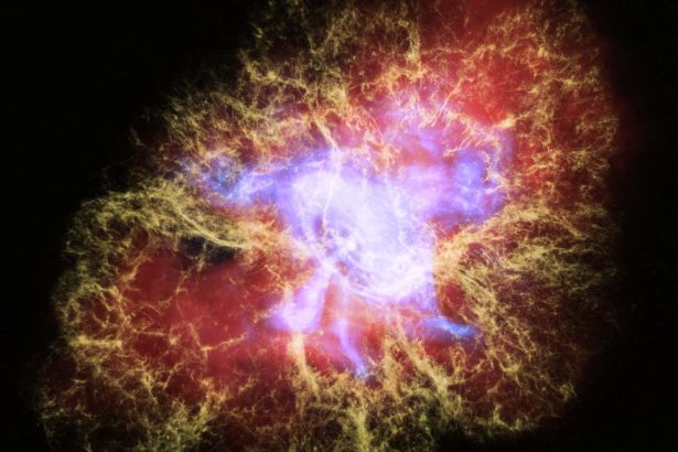 The fascinating story of the ultimate cosmic law