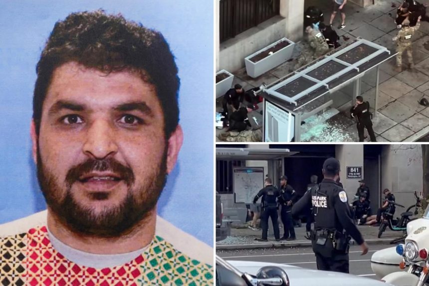 Top Trump intel official reveals DC terror suspect Rahmanullah Lakanwal wasn’t vetted for entry to US