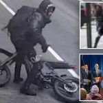 Trinitarios gang members busted on gunpoint robbery spree