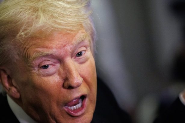 Trump Claims He’s ‘Much Better Looking’ Than 1 Democratic Star