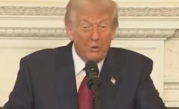 Trump Has A Deranged Meltdown After Voters Completely Reject Him