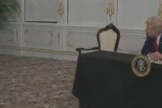 Trump Melts Down Over National Guard Shooting That He Caused