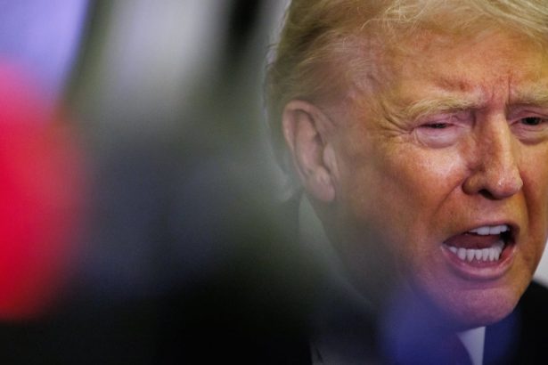 Trump Says Harrowing ICE Raids ‘Haven’t Gone Far Enough’