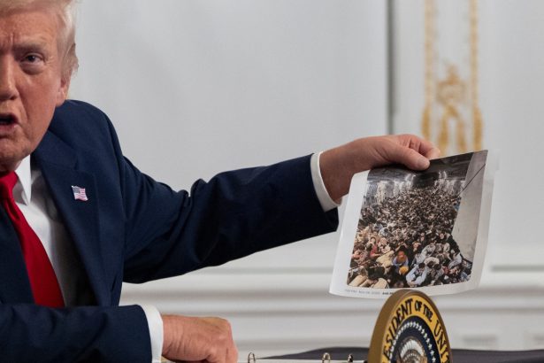 Trump vows to ‘permanently pause’ migration from poor nations : NPR