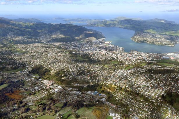 Trust seeks community input on future