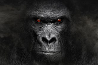 US Healthcare’s Biggest Problem: Overlooking The T Gorilla