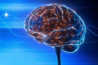 Ultrasound may boost survival after a stroke by clearing brain debris