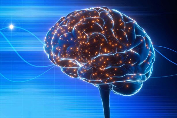 Ultrasound may boost survival after a stroke by clearing brain debris