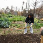 Urban farms can make cities more livable and help feed America