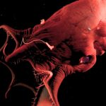 ‘Vampire Squid From Hell’ Reveals The Ancient Origins of Octopuses : ScienceAlert