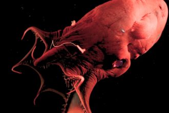 ‘Vampire Squid From Hell’ Reveals The Ancient Origins of Octopuses : ScienceAlert