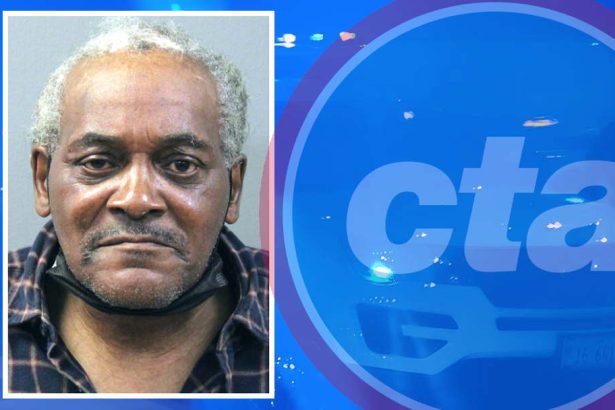 Veteran pickpocket charged with 3 more thefts on the Blue Line downtown