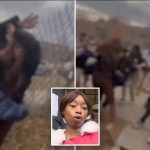 Video shows mom and kids getting brutally assaulted outside Chicago school: ‘Gut-wrenching’