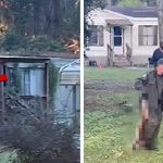 Watch Moment Mississippi Mom Shoots Escaped Monkey Dead, on Video