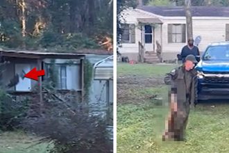 Watch Moment Mississippi Mom Shoots Escaped Monkey Dead, on Video