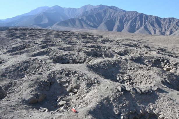 We May Finally Know The Purpose of 5,200 Mystery Holes in Peru : ScienceAlert