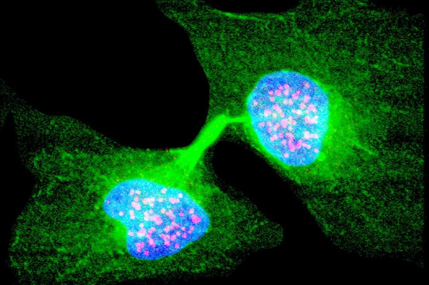 We may need a fourth law of thermodynamics for living systems