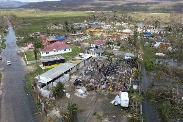 What will it take to rebuild Jamaica’s food system after Hurricane Melissa?