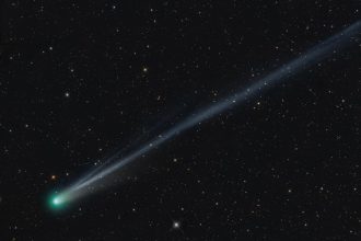 Why Aren’t All Comets as Bright as Comet Lemmon?