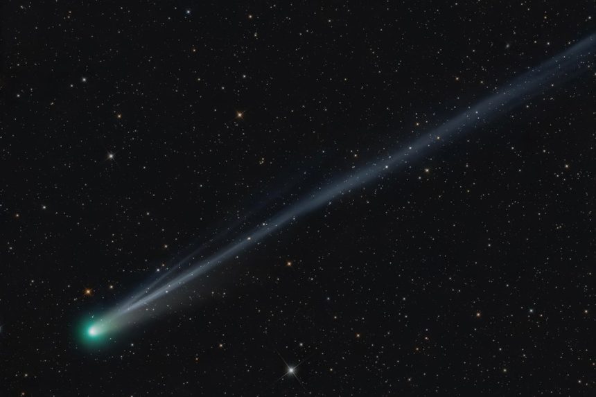 Why Aren’t All Comets as Bright as Comet Lemmon?