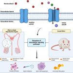 Widely used pesticides may lower sperm count