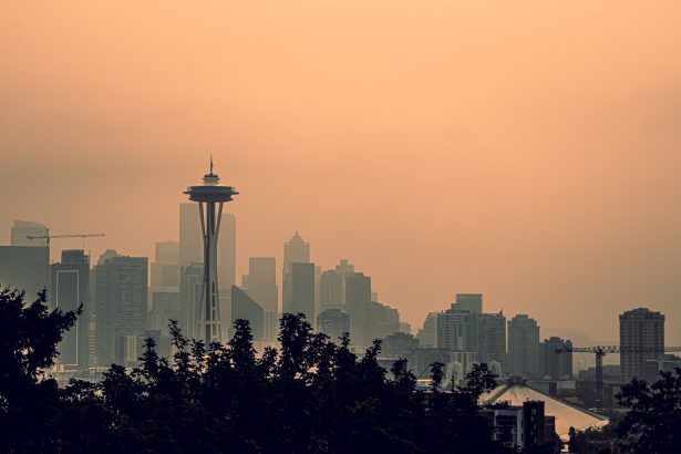 Wildfire smoke exposure during pregnancy linked to higher risk of preterm birth