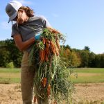 With SNAP in crisis, America’s epic food waste problem has become a lifeline