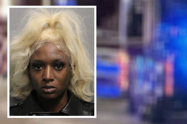 Woman who allegedly carjacked her prostitution client and led 100-mph chase gets 10 years
