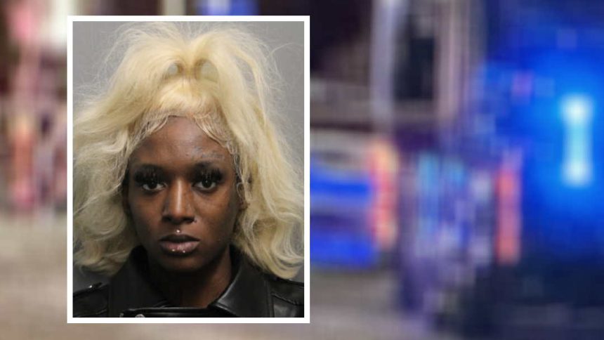 Woman who allegedly carjacked her prostitution client and led 100-mph chase gets 10 years
