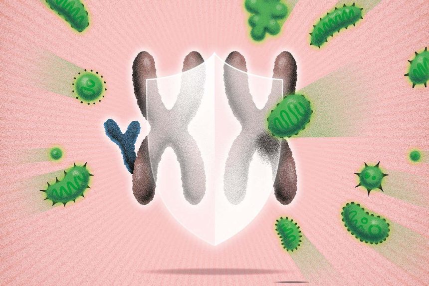 Women have supercharged immune systems and we now know why