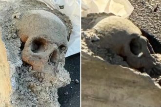 Workers find ‘skull’ encased in concrete at Boston pier, sparking mob hit fears