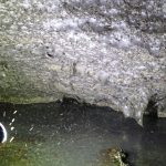 World’s Largest Spider Web Discovered in Bizarre Sulfur Cave