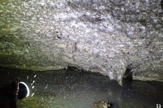 World’s Largest Spider Web Discovered in Bizarre Sulfur Cave