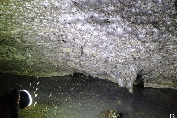 World’s Largest Spider Web Discovered in Bizarre Sulfur Cave