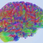 Your brain undergoes four dramatic periods of change from age 0 to 90