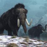 Yuka The Woolly Mammoth Just Gave Us The Oldest RNA Ever Sequenced : ScienceAlert