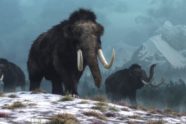 Yuka The Woolly Mammoth Just Gave Us The Oldest RNA Ever Sequenced : ScienceAlert