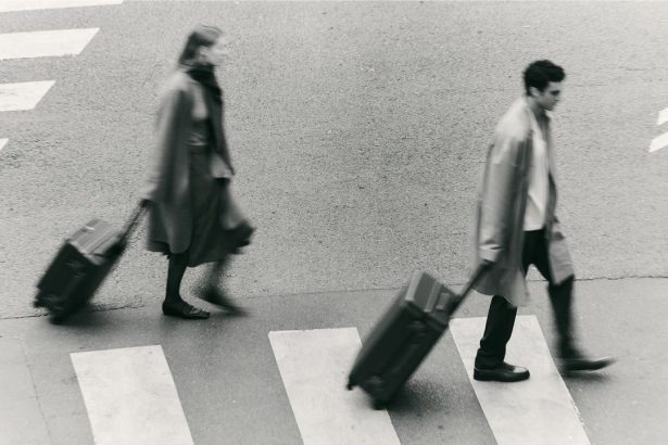 The 20 Best Checked Luggage Pieces, for Every Style and Budget