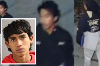 ‘Extraordinary’ evidence ties migrant to sex attacks in Evanston, Rogers Park: judge