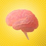 10 Mind-Blowing Brain Discoveries from 2025