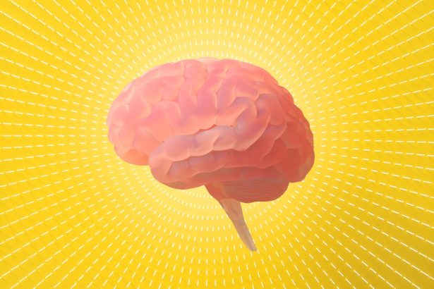 10 Mind-Blowing Brain Discoveries from 2025